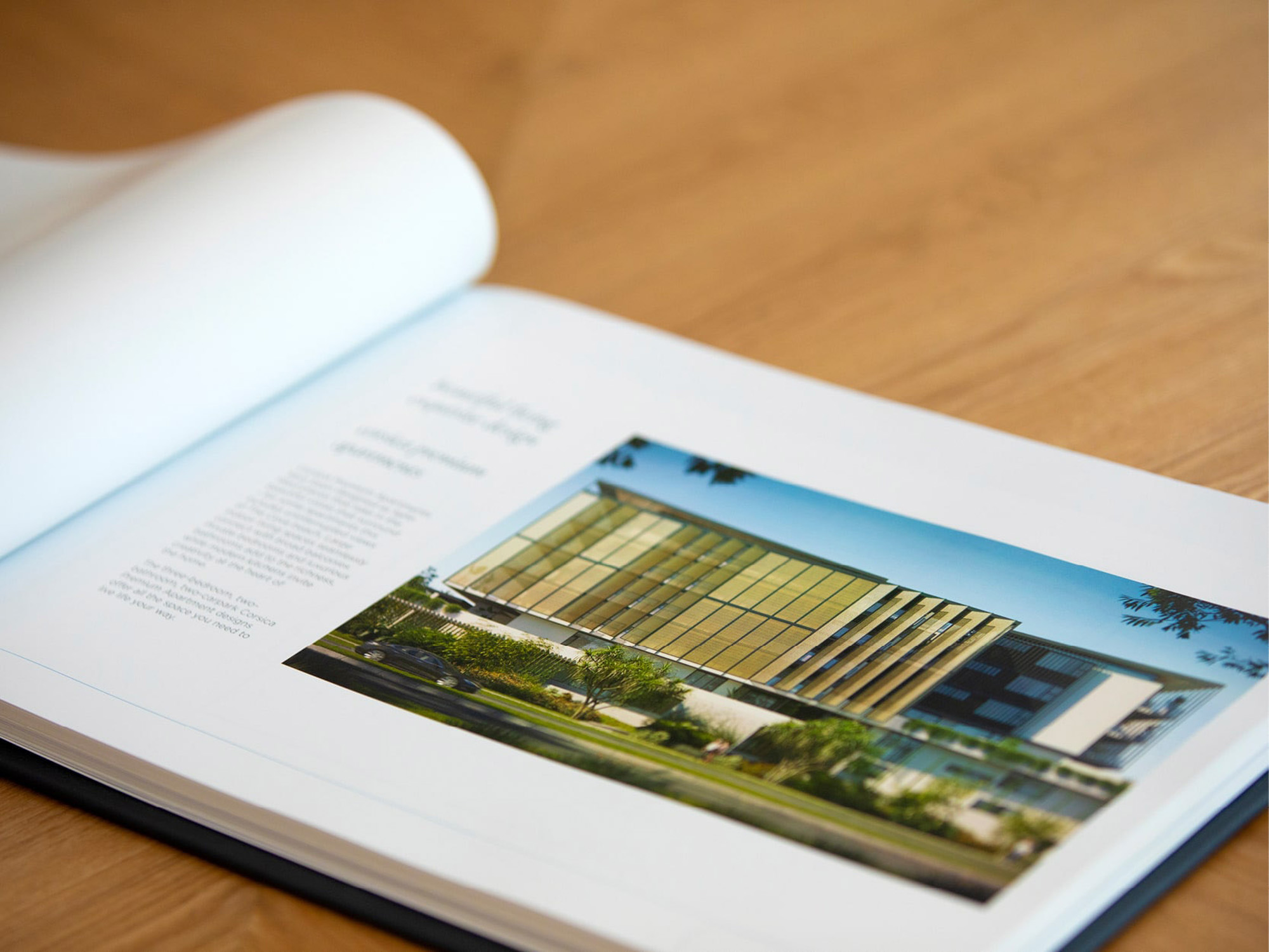 The Cove Web Template4-min